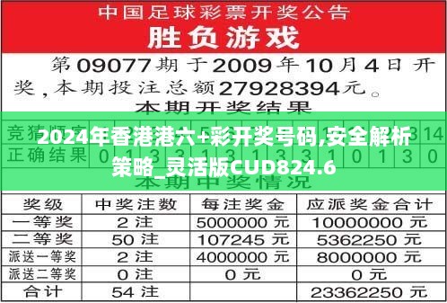 2024年香港港六+彩开奖号码,安全解析策略_灵活版CUD824.6