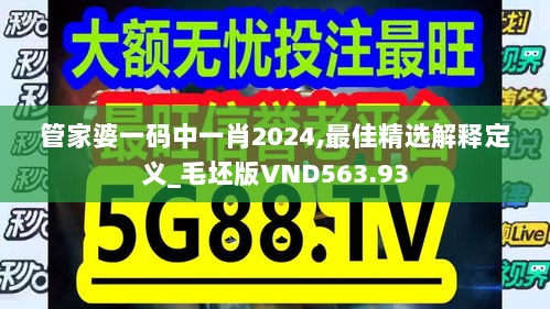 管家婆一码中一肖2024,最佳精选解释定义_毛坯版VND563.93