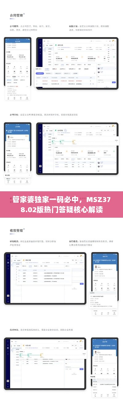 管家婆独家一码必中，MSZ378.02版热门答疑核心解读