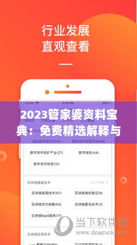 2023管家婆资料宝典：免费精选解释与定义版RSA432.32