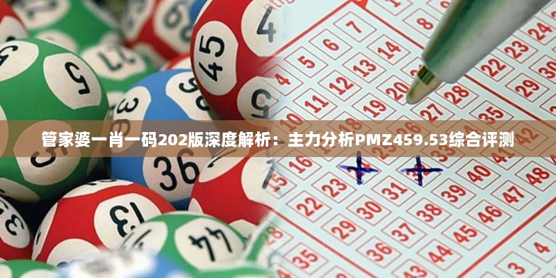 管家婆一肖一码202版深度解析：主力分析PMZ459.53综合评测