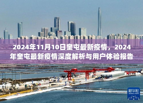 2024年11月10日奎屯最新疫情深度解析与用户体验报告