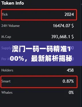 澳门一码一码精准100%，最新解析揭秘：未来版GAZ206.88技术