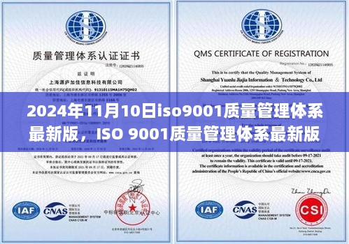 ISO 9001质量管理体系最新版实施步骤指南（2024年11月版）