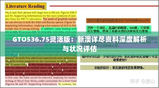 GTO536.75灵活版：新澳详尽资料深度解析与状况评估