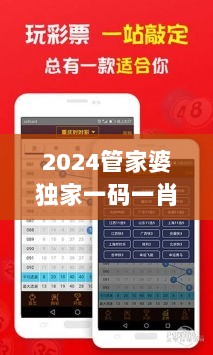 2024管家婆独家一码一肖，游戏CTE916.75版安全评估攻略