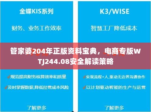 管家婆204年正版资料宝典，电商专版WTJ244.08安全解读策略