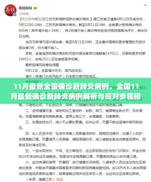 11月全国最新确诊新肺炎病例解析与应对步骤指南