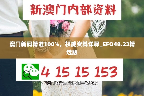 澳门新码精准100%，权威资料详释_EFO48.23精选版