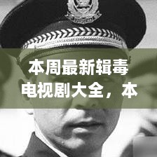 本周最新辑毒电视剧大全，深度解析与时代印记的印记