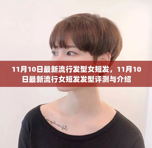 11月10日流行女短发发型评测与介绍