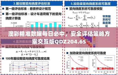 澳彩精准数据每日必中，安全评估策略方案交互版QDZ204.65