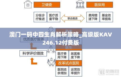 澳门一码中四生肖解析策略_高级版KAV246.12付费版