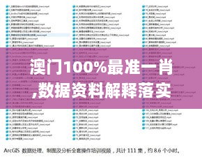 澳门100%最准一肖,数据资料解释落实_电信版5.44