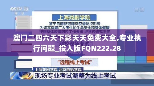 澳门二四六天下彩天天免费大全,专业执行问题_投入版FQN222.28