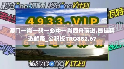 澳门一肖一码一必中一肖同舟前进,最佳精选解释_公积板TRQ882.67