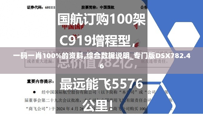 一码一肖100%的资料,综合数据说明_专门版DSX782.46