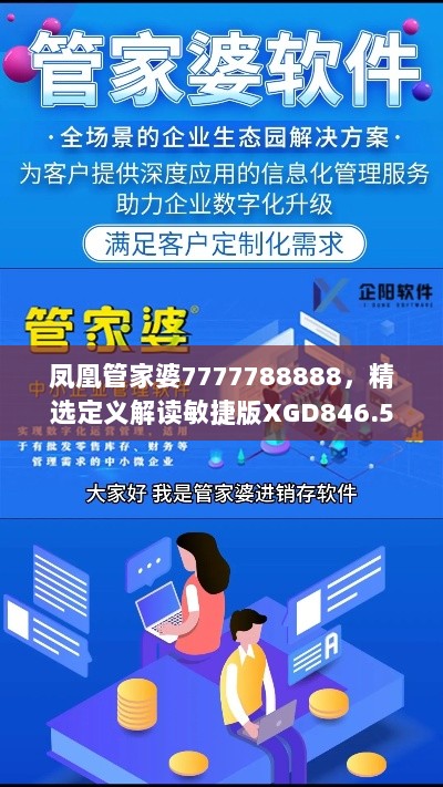 凤凰管家婆7777788888，精选定义解读敏捷版XGD846.54