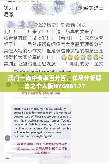 澳门一肖中奖率百分百，详尽分析解答之个人版HYG981.77