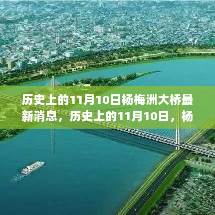 历史上的11月10日，杨梅洲大桥最新进展报告