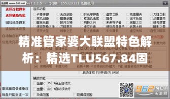 精准管家婆大联盟特色解析：精选TLU567.84固定版详解