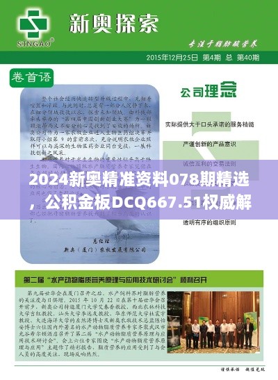 2024新奥精准资料078期精选，公积金板DCQ667.51权威解读