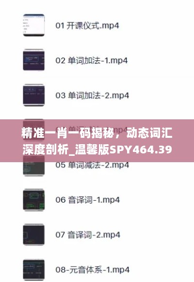 精准一肖一码揭秘，动态词汇深度剖析_温馨版SPY464.39