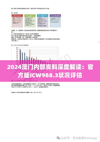 2024澳门内部资料深度解读：官方版ICW988.3状况评估