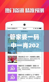 管家婆一码中一肖2024,安全设计解析策略_影像版900.73