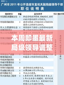 即墨本周局级领导调整深度解析与用户体验报告