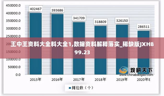 王中王资料大全料大全1,数据资料解释落实_稀缺版JXH899.23