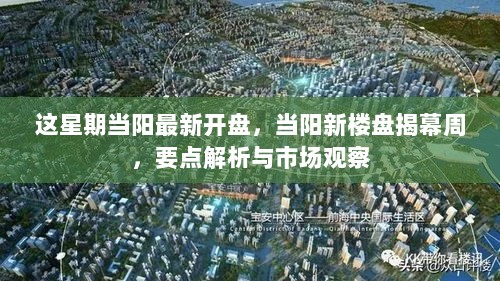 当阳新楼盘揭幕周，市场观察与要点解析