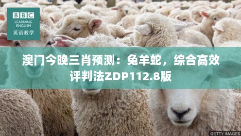 澳门今晚三肖预测：兔羊蛇，综合高效评判法ZDP112.8版