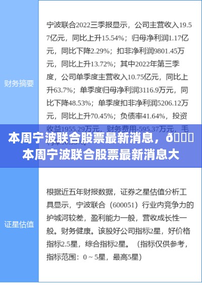 宁波联合股票最新消息大揭秘