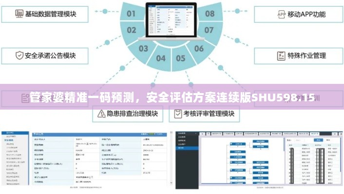 管家婆精准一码预测，安全评估方案连续版SHU598.15