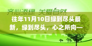 11月10日，绿意盎然，心之所向的自然之旅