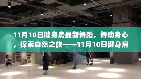 11月10日健身房最新舞蹈体验，舞动身心，探索自然之旅的魅力