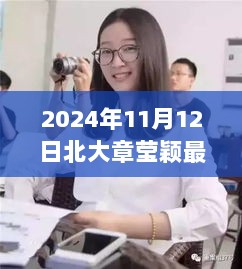 2024年北大章莹颖案最新进展，跨越时空的追寻与深远影响