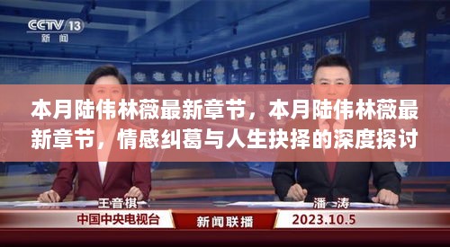 本月陆伟林薇，情感纠葛与人生抉择的深度探讨最新章节