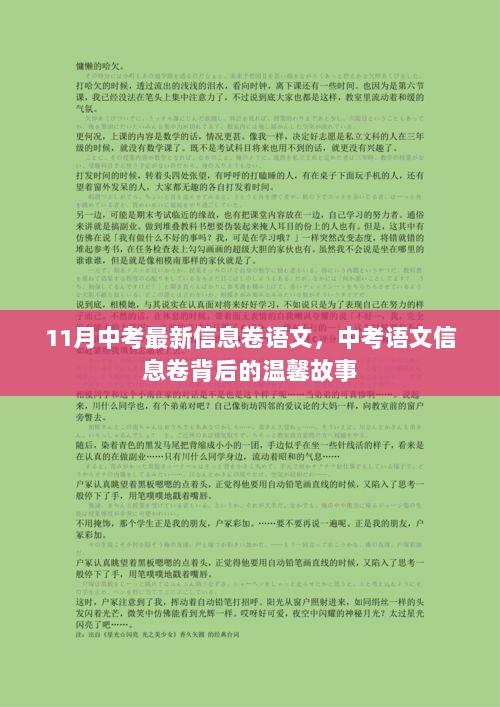 中考语文信息卷背后的温馨故事，11月最新信息卷的启示