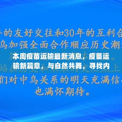 疫苗运输新篇章，与自然共舞，寻找内心的平静