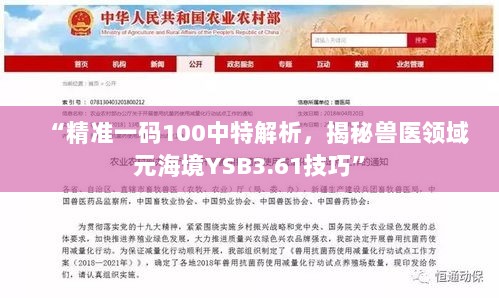 “精准一码100中特解析，揭秘兽医领域元海境YSB3.61技巧”