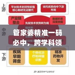 管家婆精准一码必中，跨学科领域_本命境QPI指数201.16