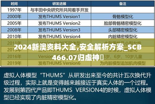 2024新澳资料大全,安全解析方案_SCB466.07归虚神衹