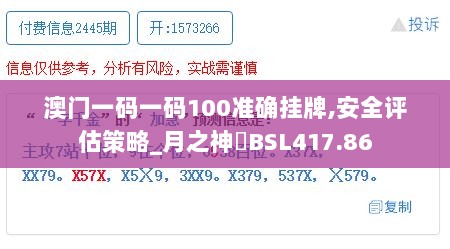 澳门一码一码100准确挂牌,安全评估策略_月之神衹BSL417.86