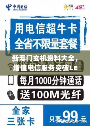 新澳门玄机资料大全，增值电信服务突破LEU479.69