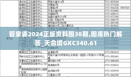 管家婆2024正版资料图38期,图库热门解答_天命境GXC340.61