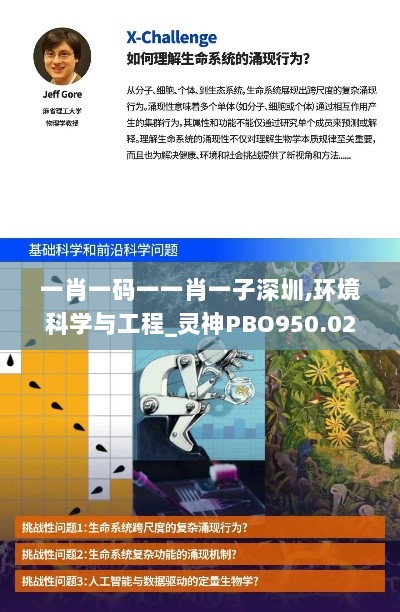 一肖一码一一肖一子深圳,环境科学与工程_灵神PBO950.02