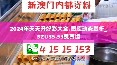 2024年天天开好彩大全,图库动态赏析_SZU35.53灵尊境