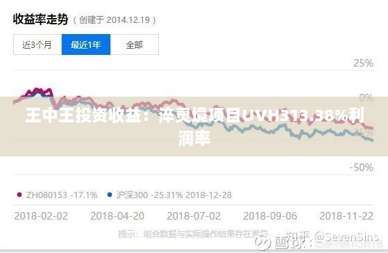 王中王投资收益：淬灵境项目UVH313.38%利润率